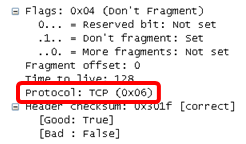 プロトコル番号（パケット詳細部）